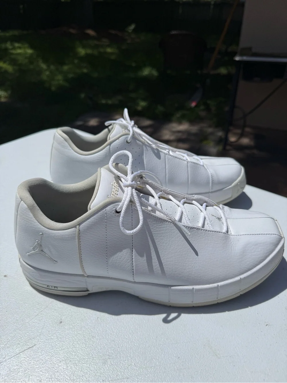 Air Jordan TE 2 Low 'White Pure Platinum' RARE